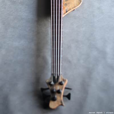 Stradi Symphony Stone 2016, STONE top, titanium frets, great sound and articulation image 4