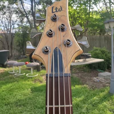 ESP LTD ACTIVE 5 string Bass Spalted Maple with EXTRAS **minty** image 4