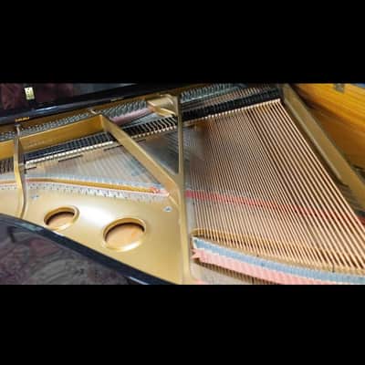 Wurlitzer 5' Baby Grand Player Piano Bluetooth CD QRS System image 6