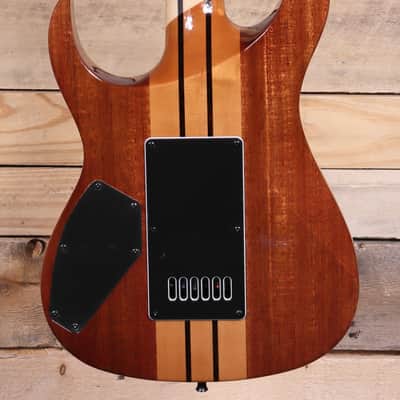 BC Rich Shredzilla Prophecy Archtop Electric Guitar Walnut w/ EverTune image 3