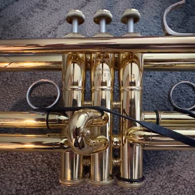 Yamaha 8310z Gen II “Bobby Shew” 2025-26 - Lacquer image 4