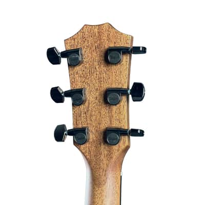 Taylor Custom TSG Exclusive Dread Adirondack / East Indian Rosewood Standard Depth w/case image 11