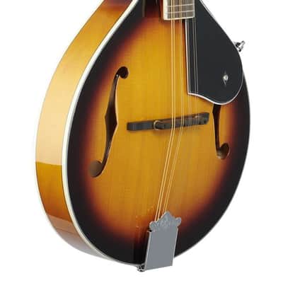 Washburn M1 Mandolin Pack with Gigbag image 9
