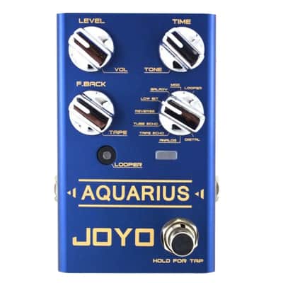 Joyo R Series R-07 Aquarius Delay and Looper Pedal, FREE PICK + HOLDER+ FREE SHIP USA image 2