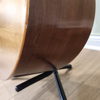 Immagine Taylor AB-1 acoustic-electric bass guitar - 6