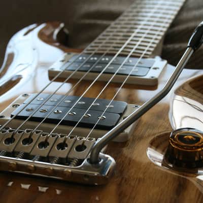 PRS Custom 24 Experience 2013 Swamp Ash 2013 Natural image 2