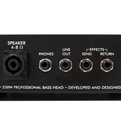 ebs Reidmar 250 Bass Head image 3
