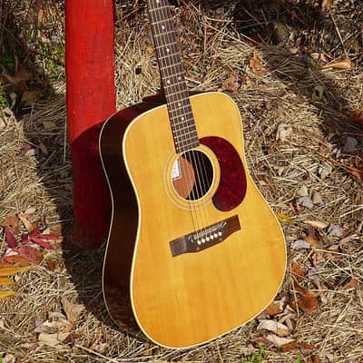 1965-66 Harptone-made Supreme A-6N dreadnought guitar image 1