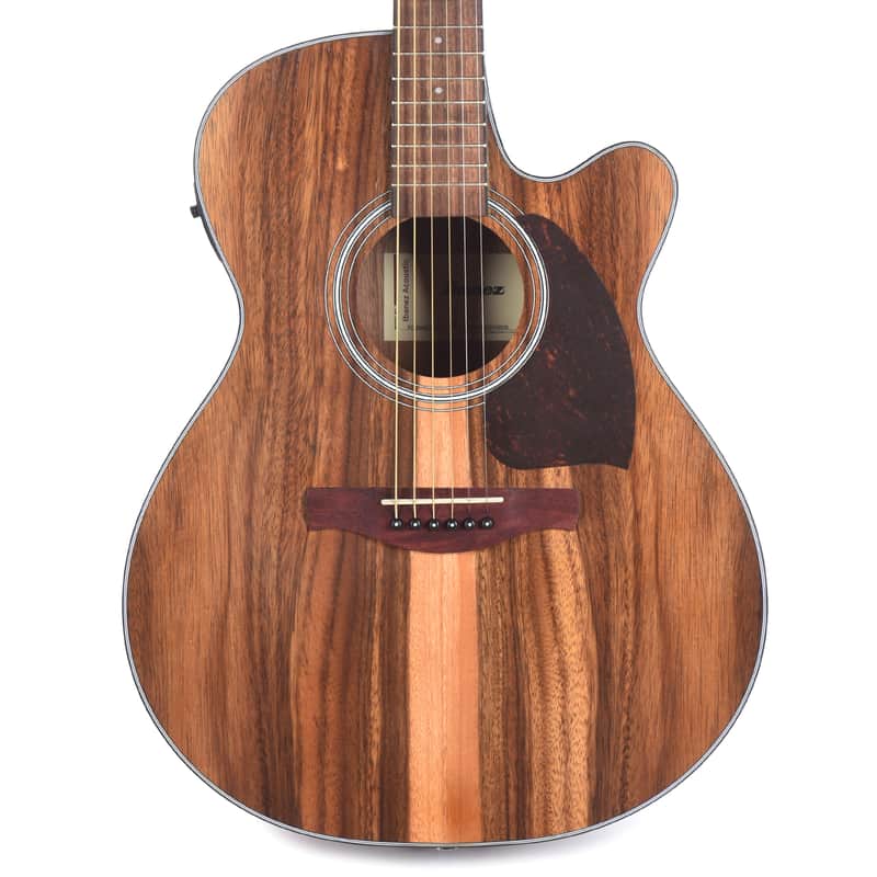 Ibanez PC50WSCEOPB Acoustic-Electric Guitar Cutaway Grand Concert Open Pore Brown image 1