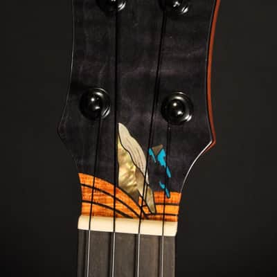 aNueNue Black Whale Tenor 2026 image 2