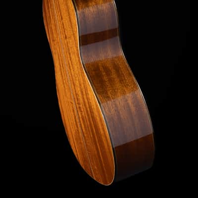 Goodall Parlor All-Mahogany, MhPMh, 14-Fret - USED 2004 image 7