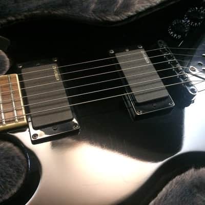 Epiphone ZW Zakk Wylde Custom Black With Case image 4