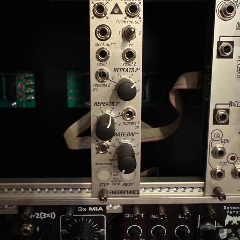 2020 – Present Endorphin.es Running Order Eurorack Synth Modul…