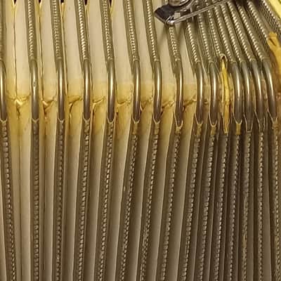 Salanti Vintage Accordion serial G100 image 4