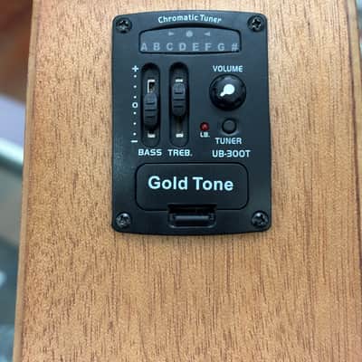 Gold Tone Micro Bass M-Bass25 image 12
