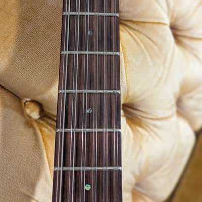 ESP LTD XJ-12 2012 - 2-Tone Burst image 4