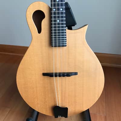 Tacoma M-1E Mandolin - Acoustic/Electric w/Hardshell Case image 2
