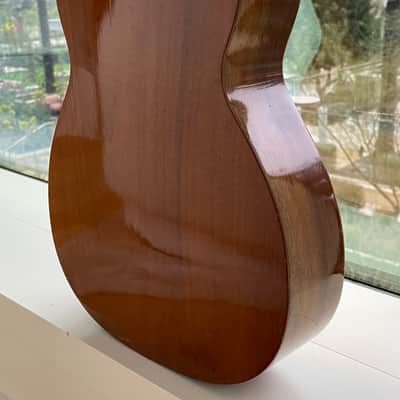 Giannini GN50 Early 1970s - Brazilian Mahogany & Rosewood Varnish image 9
