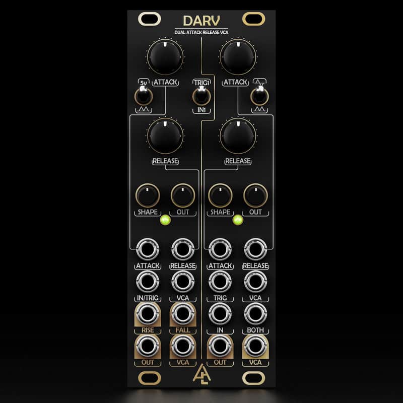 AFTER LATER AUDIO DARV : BRAND NEW :  [DETROIT MODULAR] image 1