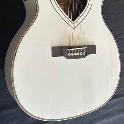 Rafferty Heartbeat ❤️ Acoustic Electric image 5