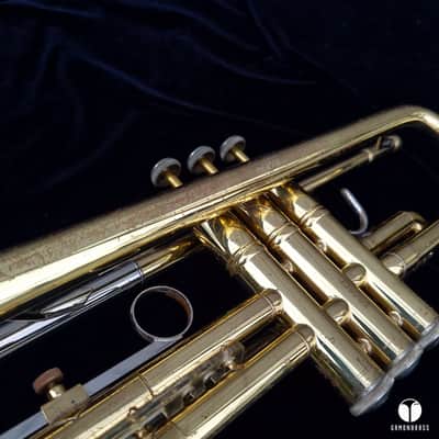 Vincent Bach TR200 Step-Up Bb Trumpet  Lacquered Brass gamonbrass image 17