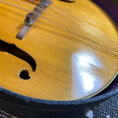1950's Silvertone Mandolin - Includes Chipboard Case! image 16
