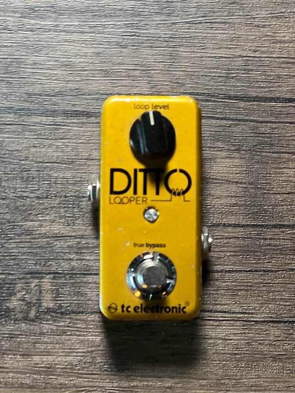 TC Electronic Ditto Looper Limited Edition | Reverb