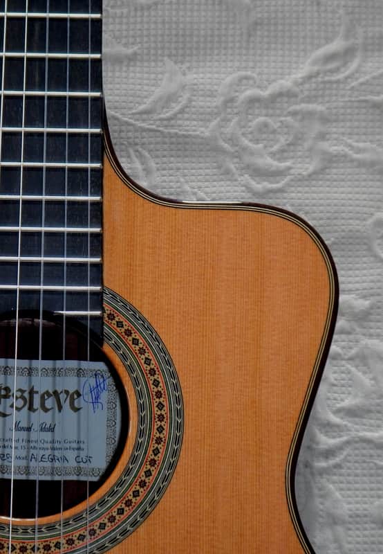 Esteve Alegria crossover cutaway / lattice braced / cedar top/48 mm nut width image 1