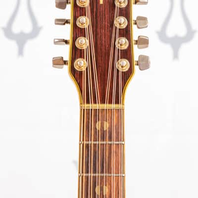 Daion Year Series '82 / 12 String image 12