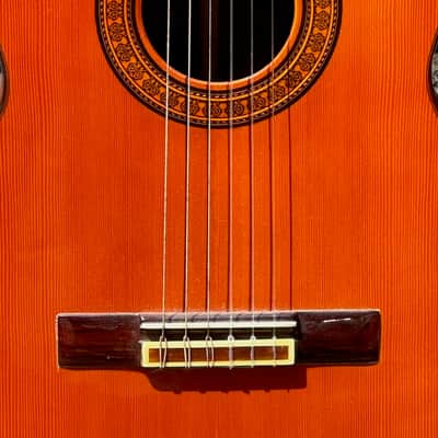 M.G. Contreras 8-B Classical 1990 - a beautiful Brazilian Rosewood example w/a fabulous tone & playability. image 12