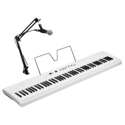 Korg Liano Live - Stage Piano image 5
