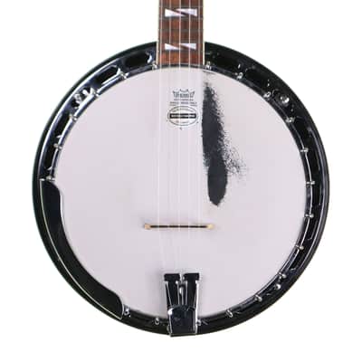 Washburn B160 Sonny Smith Signature 5-String Banjo image 2