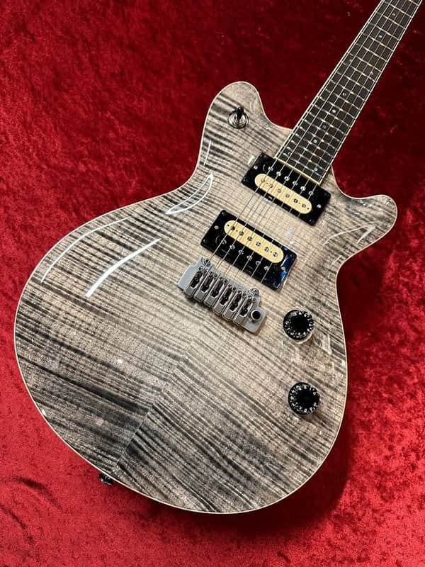 T's Guitars Arc-STD24 -White Tiger- [GSB019] 2022 | Reverb