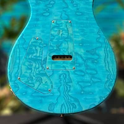 PRS Private Stock 9630 Special 22 HB No F-Holes Natural/Turquoise 0342962 image 13