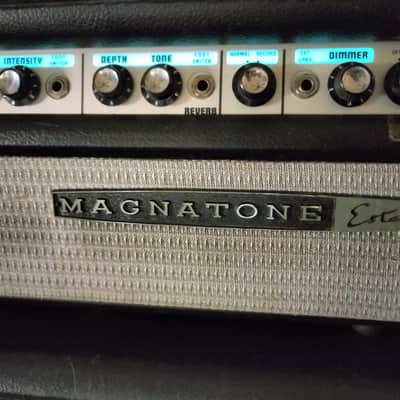 Magnatone MP-5 1966 image 5