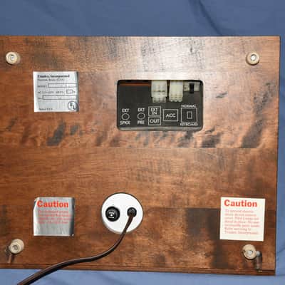 TRIADEX MUSE 1972 with matching Amplifier image 3