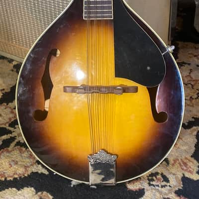 Bradley A-100 Mandolin c. 1980? - Sunburst image 1