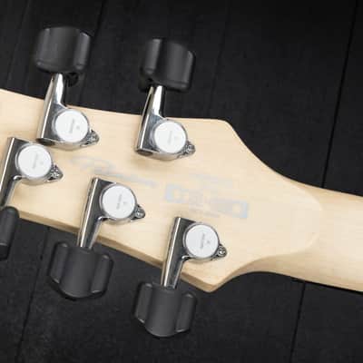 Ibanez GWB25TH SWF Gary Willis - 25th Anniversary Silver Wave Burst Flat image 12