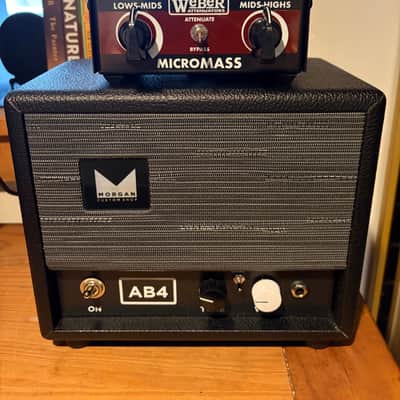 Morgan Amplification AC5 image 2