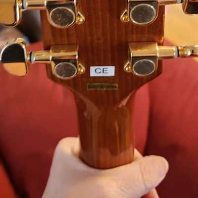 Washburn D100M / BR Mahogany Dreadnought Acoustic Guitar image 8