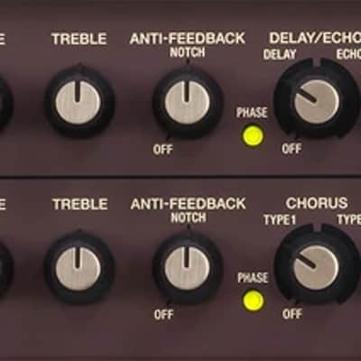 Boss Acoustic Singer Pro Acoustic Amplifier image 4
