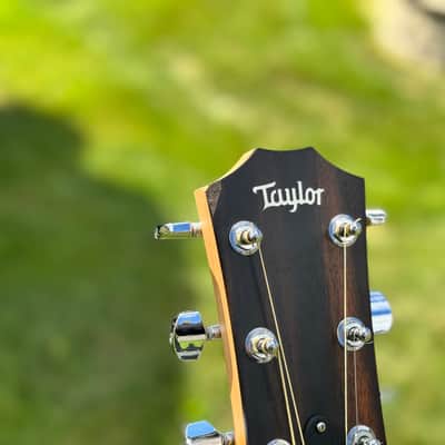 Taylor 114e Walnut with Maple Neck 2019 - Present - Natural image 9