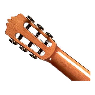Cordoba Fusion Stage Traditional Cedar Cutaway A/E Nylon String Guitar Open Box image 5