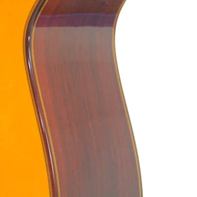 Tomas Leal classical guitar - great handmade Spanish guitar with excellent sound quality - affordable price + video! image 10