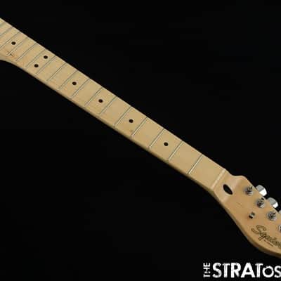Fender Squier Affinity Series Telecaster Thinline NECK + TUNERS Tele Maple image 2
