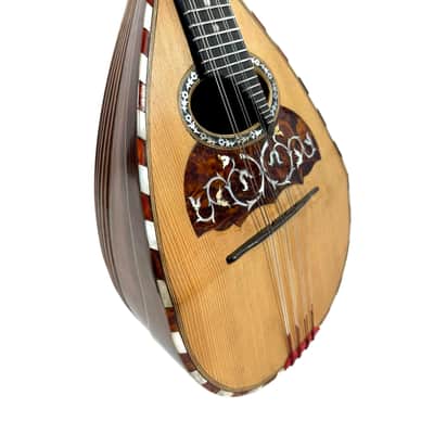 Concert Mandolin (Embergher School) G. Cacchione & Figli 1910s image 4