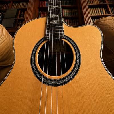 PRS 2011 Paul Reed Smith Collection Tony McManus Martin Simpson Private Stock 2011 image 9