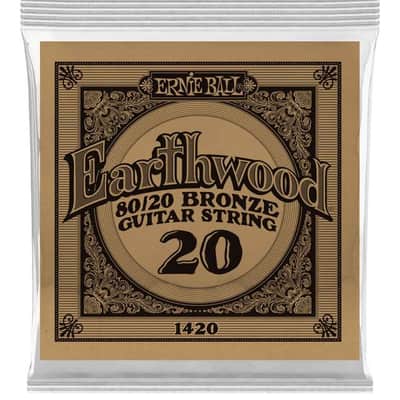 Ernie Ball P01420 .020 Earthwood 80/20 Bronze Acoustic Guitar String