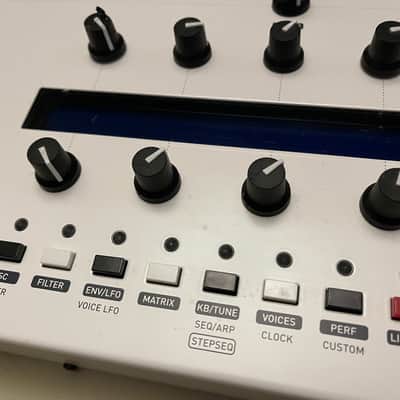 Tubeohm Tubika 6-Voice Analog Synthesizer - Mutable Ambika Replica image 16