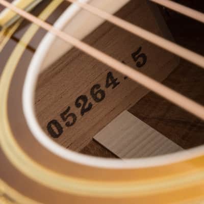 Fairbanks F-20 Argentine Grey - European Spruce & Flamed Koa #0526415 image 17